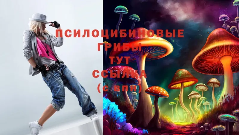 ссылка на мегу как войти  Бугульма  Галлюциногенные грибы Psilocybine cubensis 